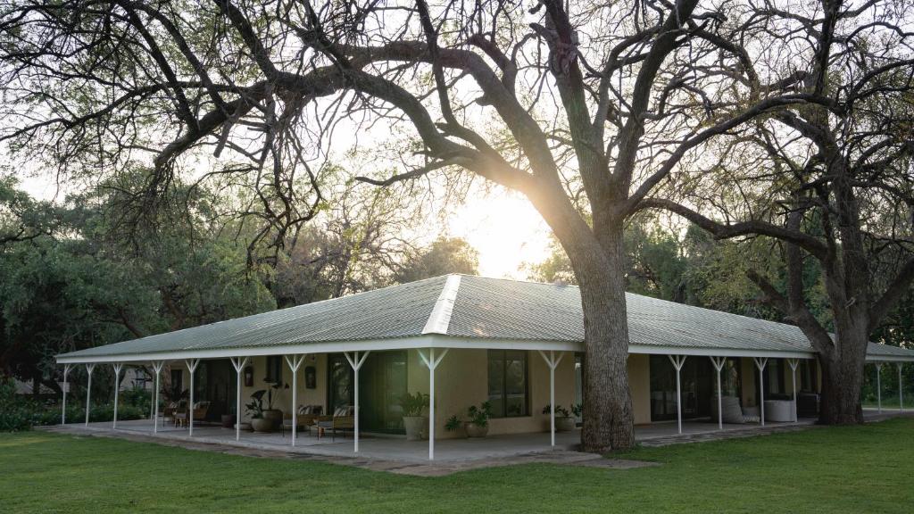 une maison blanche avec un arbre dans un champ dans l'établissement Kolokolo Safari Home, à Lentswelemoriti