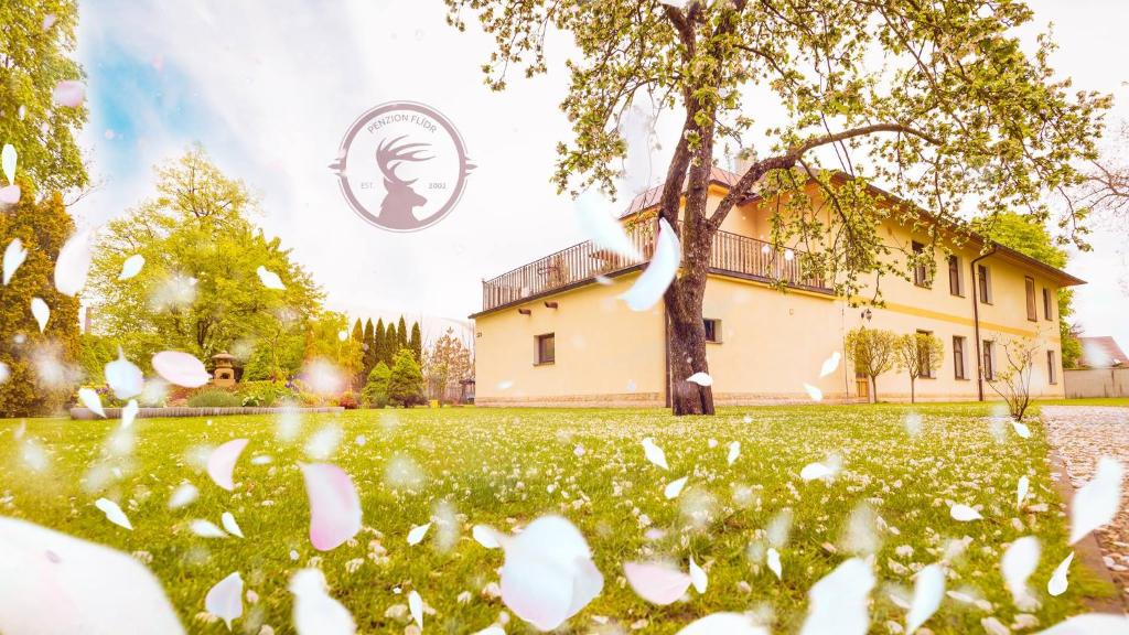 a house in the middle of a field with a tree at Penzion Flídr in Poděbrady