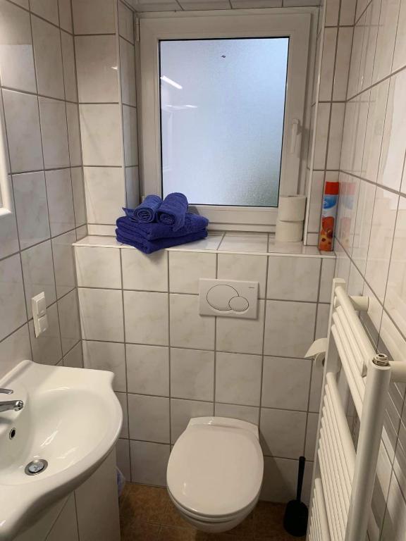 Kúpeľňa v ubytovaní Haus Edelweiss Mölltal