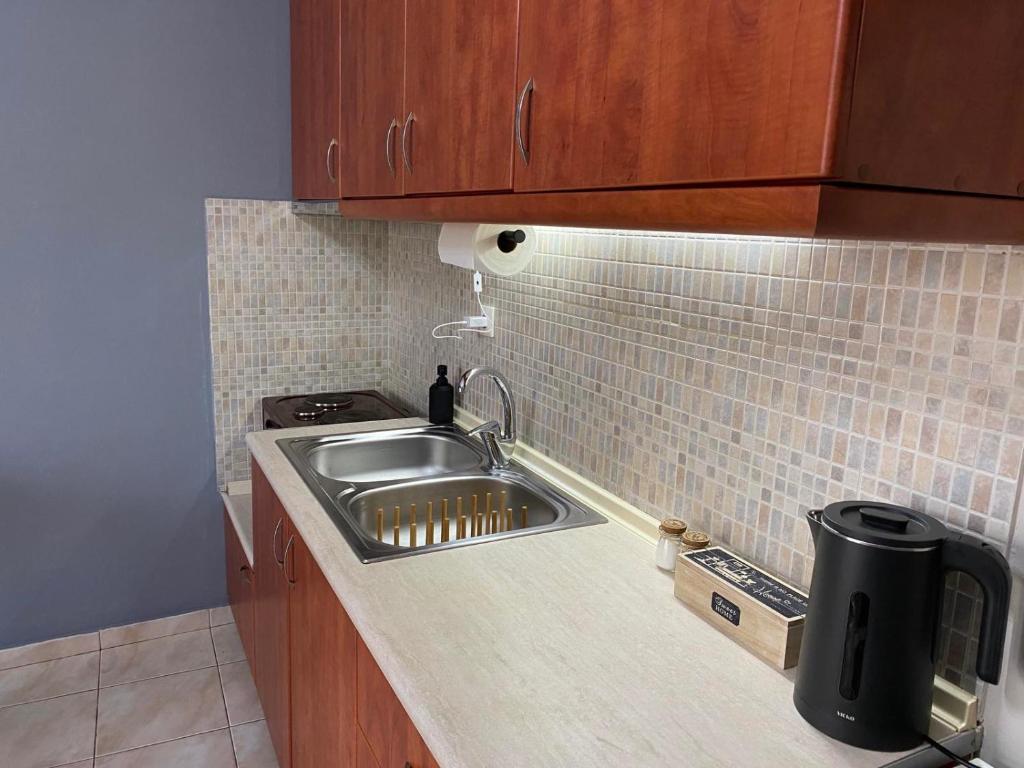 Kuchyň nebo kuchyňský kout v ubytování R&K MODERN APARTMENT