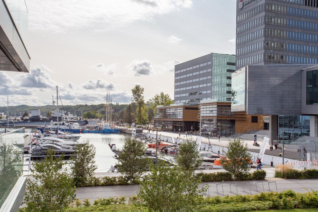 Yacht Park Marina - 17