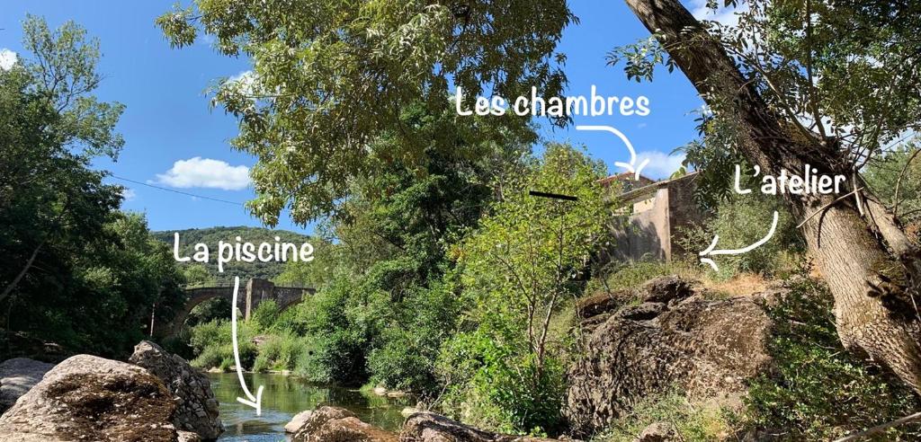 - une vue sur une rivière avec des arbres et un pont dans l'établissement Le Moulin de Mirande, à La Tour-sur-Orb