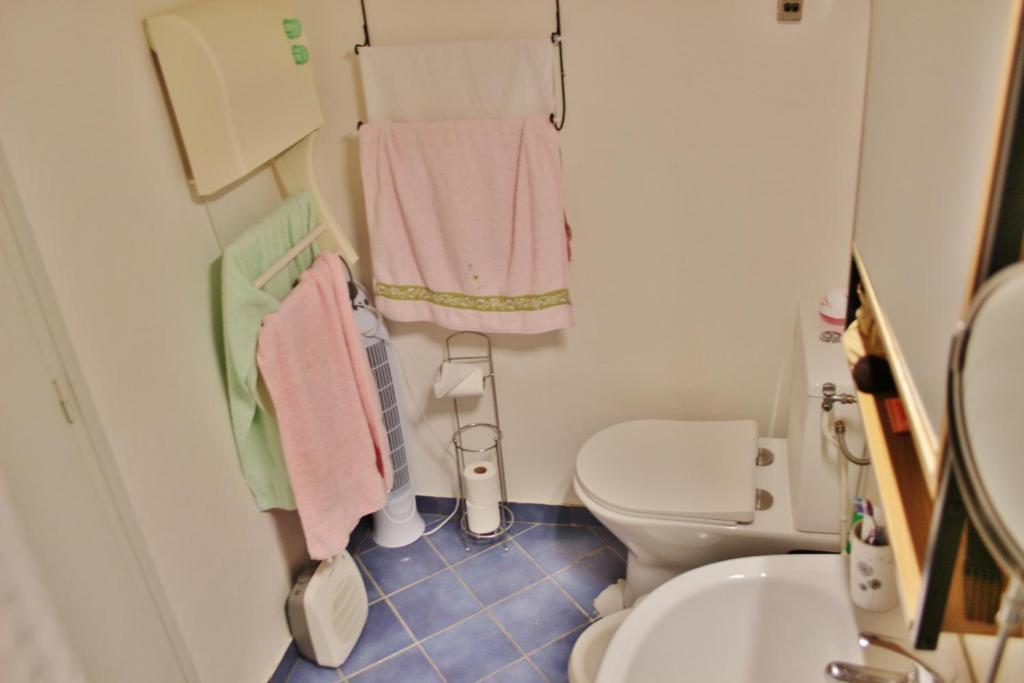 łazienka z toaletą, umywalką i ręcznikami w obiekcie Studio classé 2 étoiles à 5 minutes du centre ville et 10 des Thermes w mieście Amélie-les-Bains-Palalda