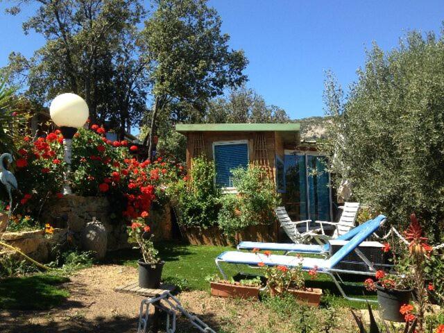 a yard with a chair and a house with flowers at L'oiseau BLEU à CALVI in Calvi