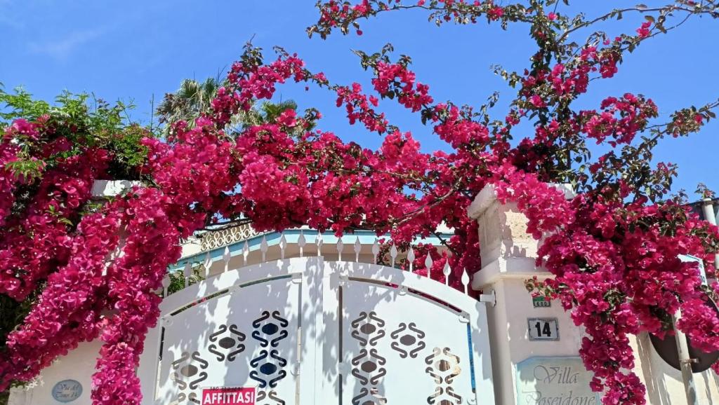 Κήπος έξω από το Villa 4 Posti Letto 100 Metri Dal Mare