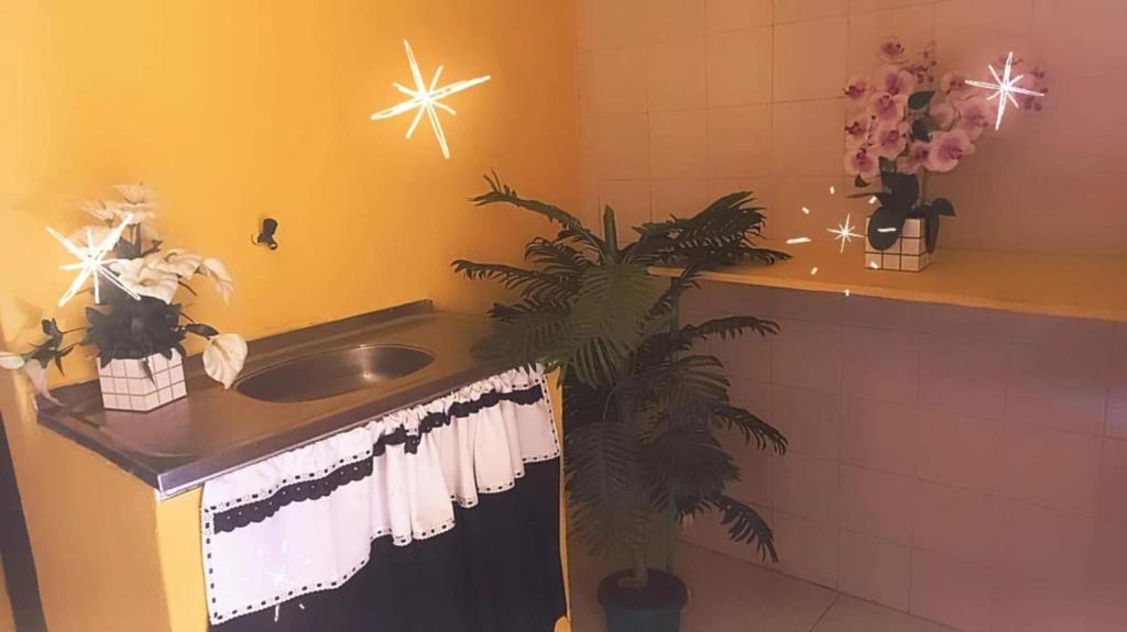 uma casa de banho com um lavatório e uma planta e estrelas em Olympios House no Rio de Janeiro
