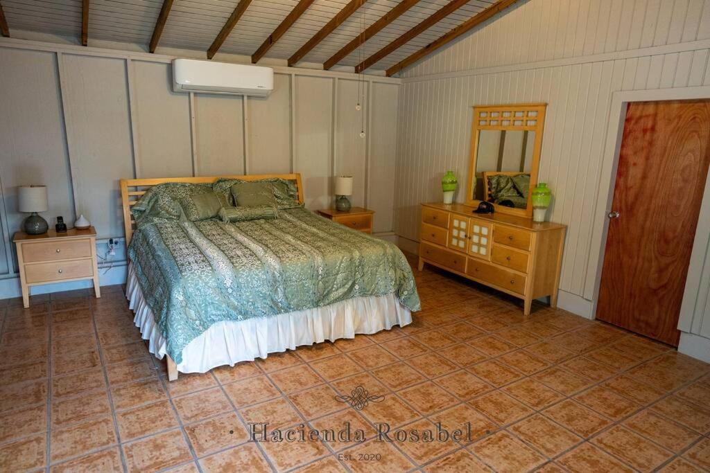 Postel nebo postele na pokoji v ubytování Hacienda Rosabel