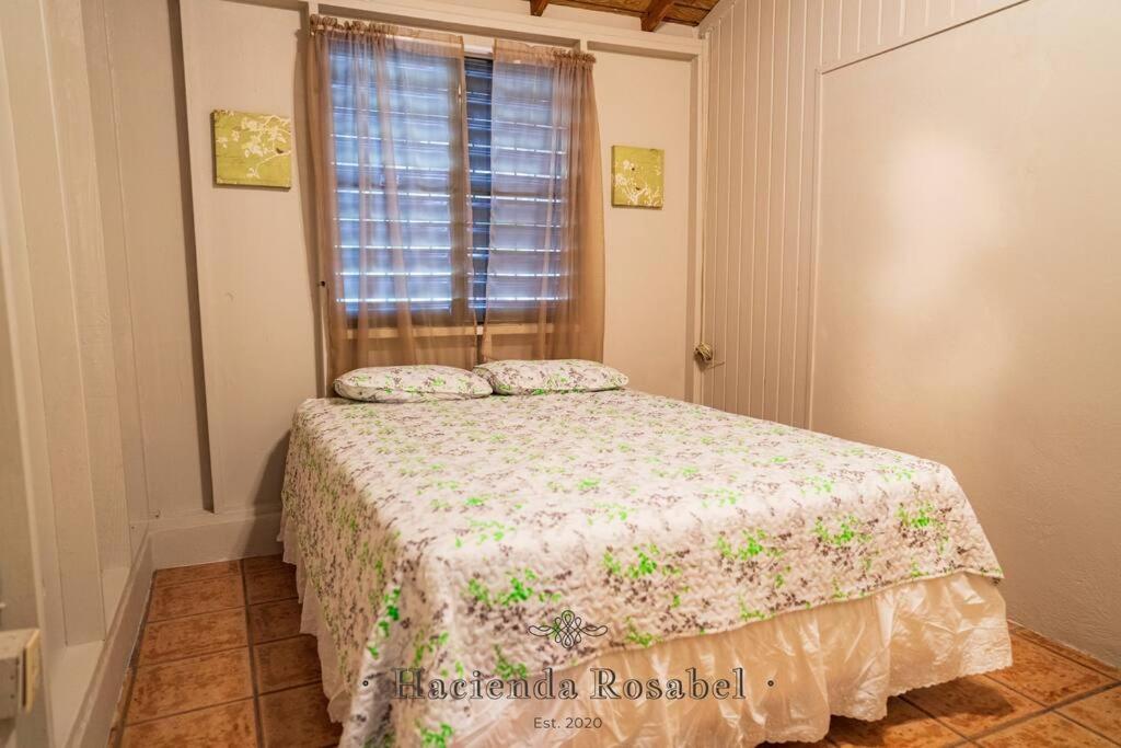 Postel nebo postele na pokoji v ubytování Hacienda Rosabel