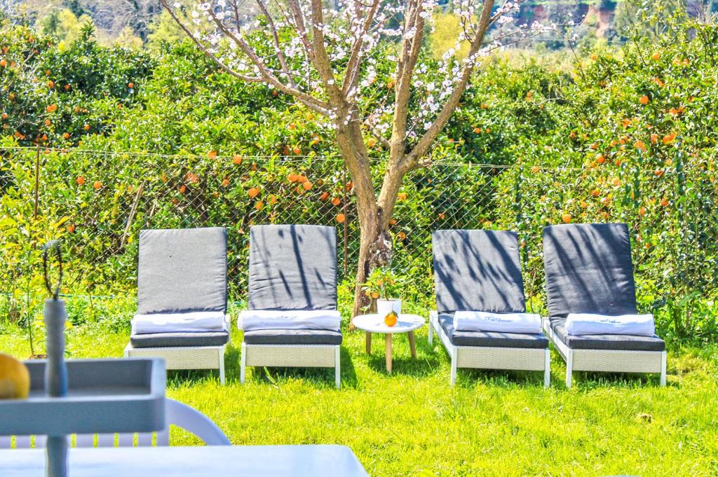 Zahrada ubytování Four Seasons Villa Chania