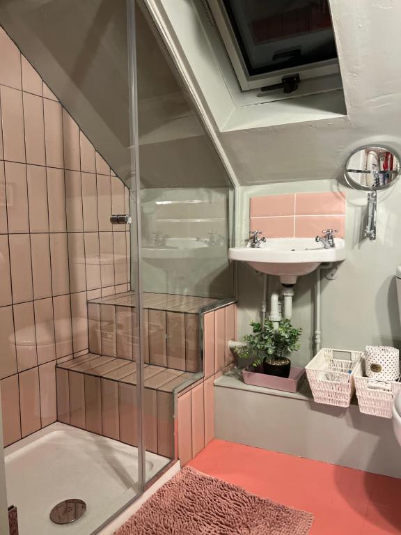 a bathroom with a shower and a sink at Rowan Cottage in Cromford