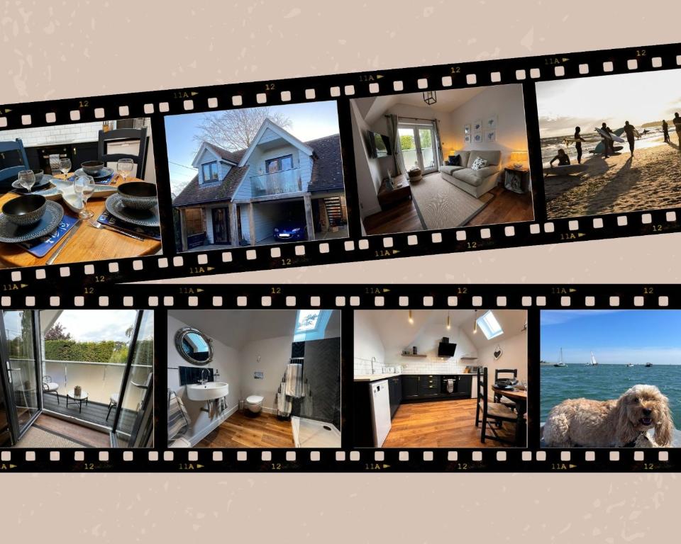 een collage van foto's van een huis met een hond bij Secluded Island Retreat - in the heart of the Anchorage in West Mersea