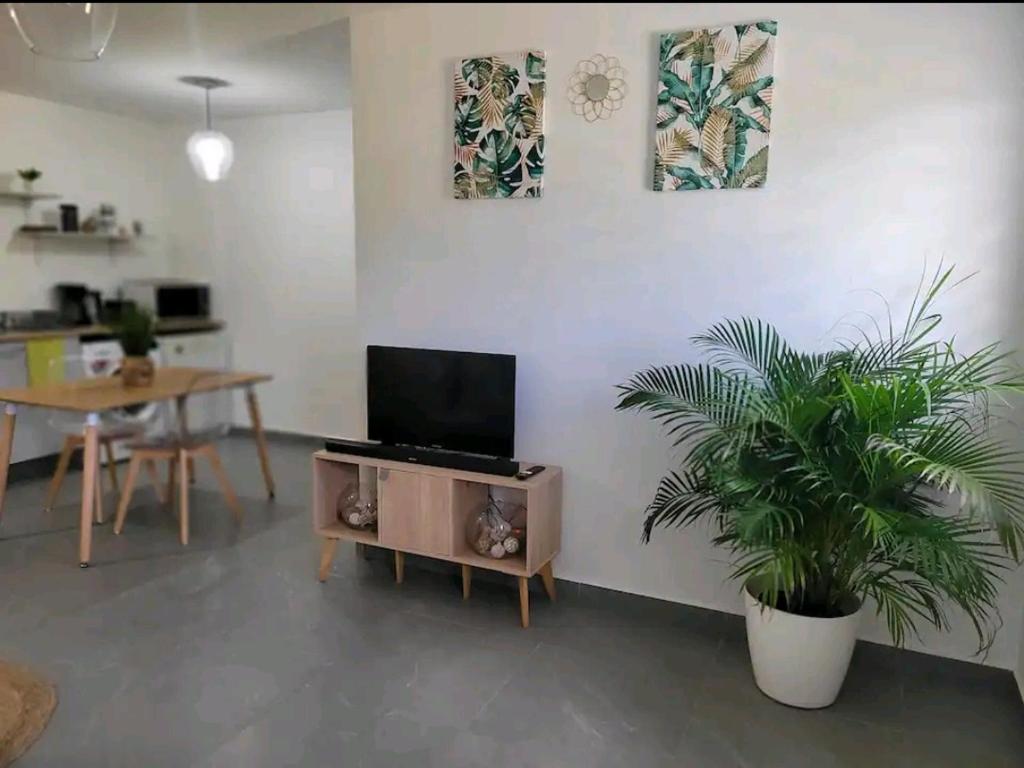 TV a/nebo společenská místnost v ubytování Superbe appartement cosy neuf