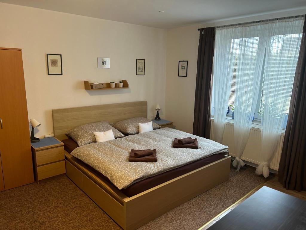 1 dormitorio con cama y ventana grande en Ubytování Rozsochy, en Rozsochy