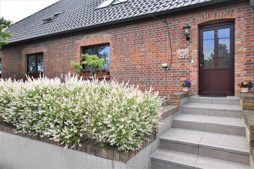 a brick house with a door and some plants at Reihenferienhaus mit Kamin und Terrasse im Ostseeland OFC 11 in Gerdshagen