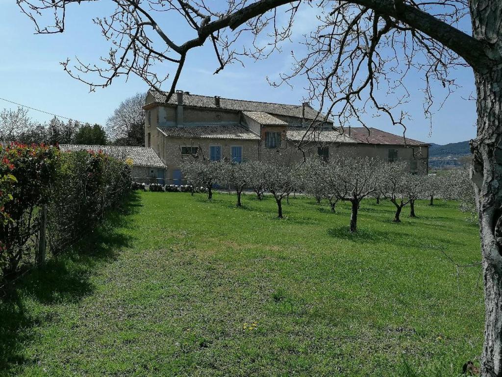 Κήπος έξω από το Gîte Amande Domaine de L'Annonciade