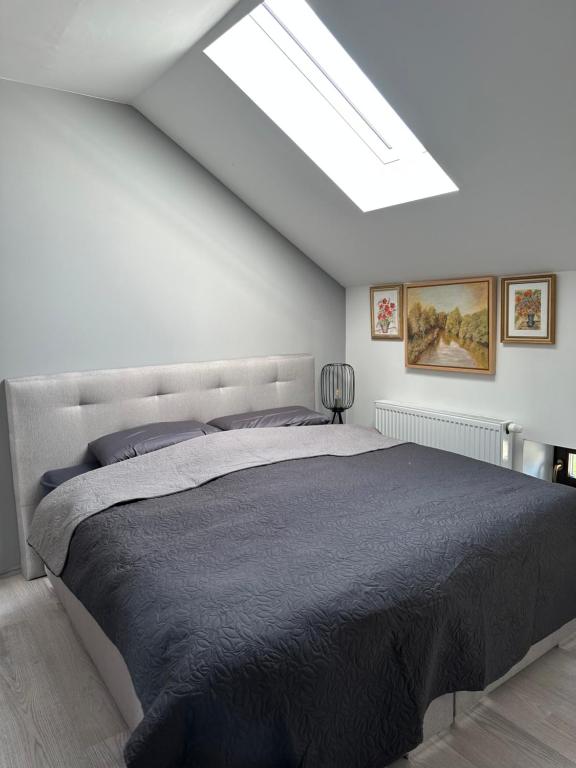 a bedroom with a large bed and a skylight at Zwillinge Ferienwohnung am Markt in Finkenburg