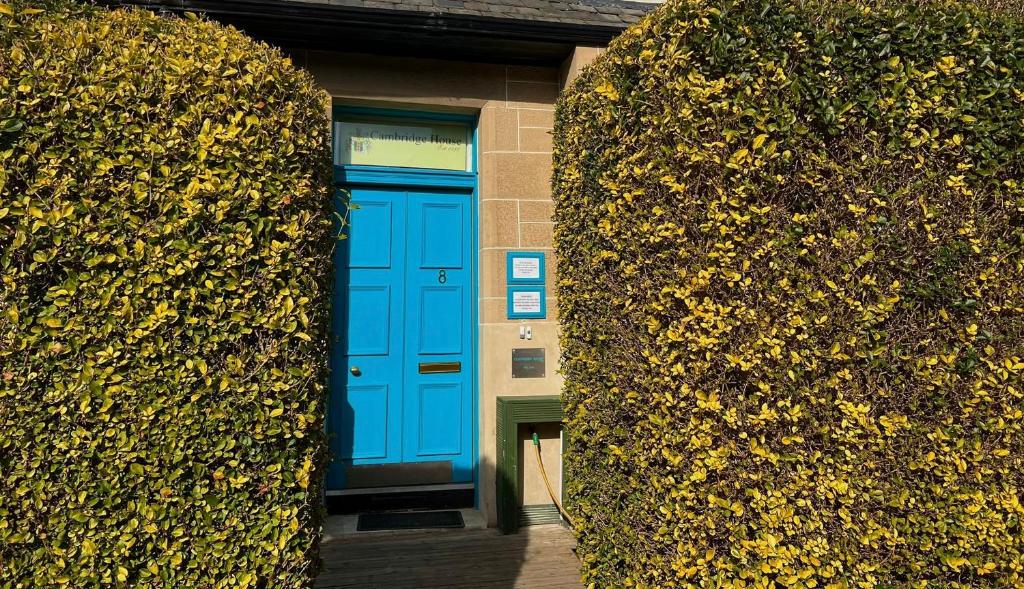 niebieskie drzwi w budynku pomiędzy dwoma krzakami w obiekcie Cambridge House w Edynburgu