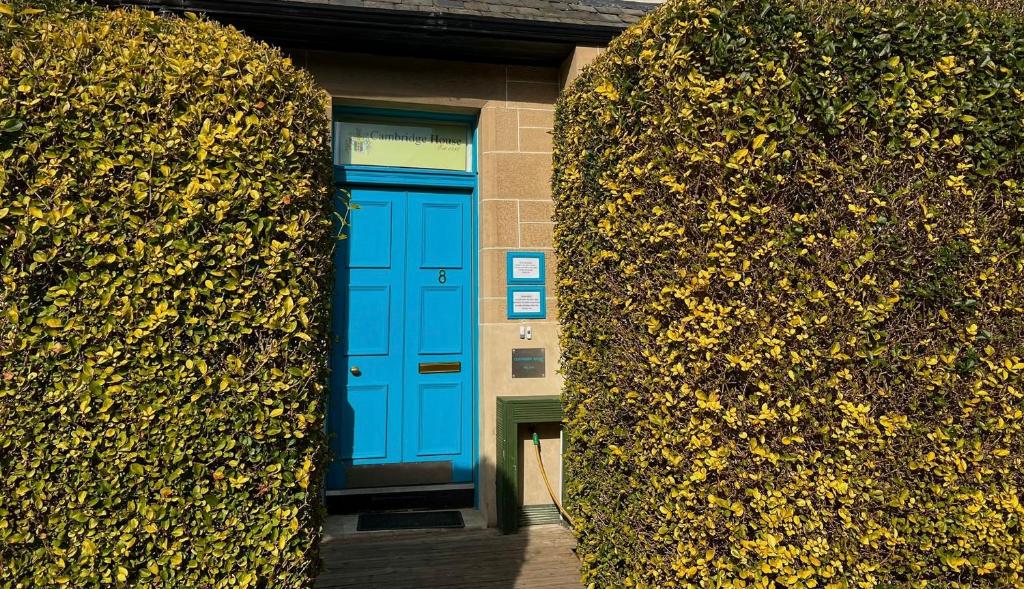 una puerta azul en un edificio entre dos arbustos en Cambridge House, en Edimburgo