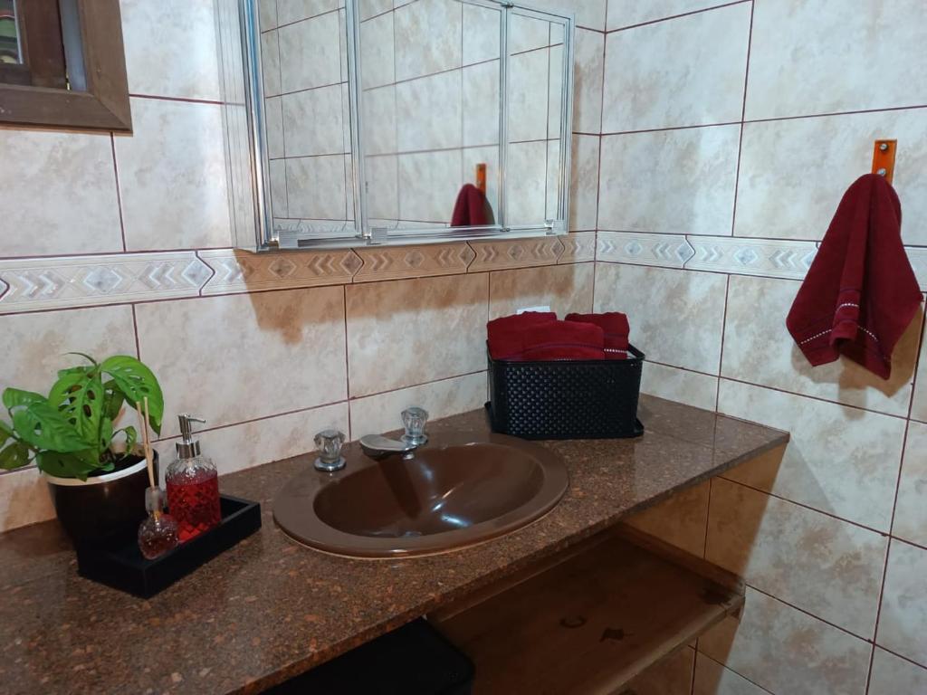 een badkamer met een wastafel en een spiegel bij Recanto Flora in Rancho Queimado