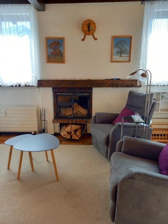 sala de estar con sofá y chimenea en Le Perchoir, en Gryon