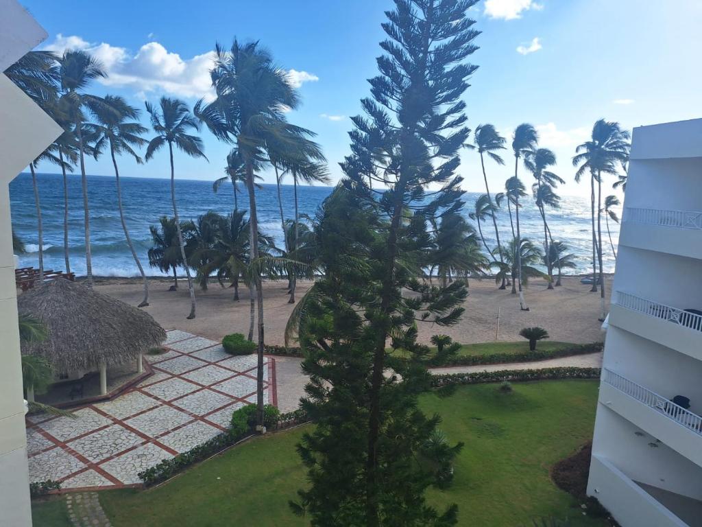 widok na plażę, palmy i ocean w obiekcie Ocean view superior w mieście Juan Pedro