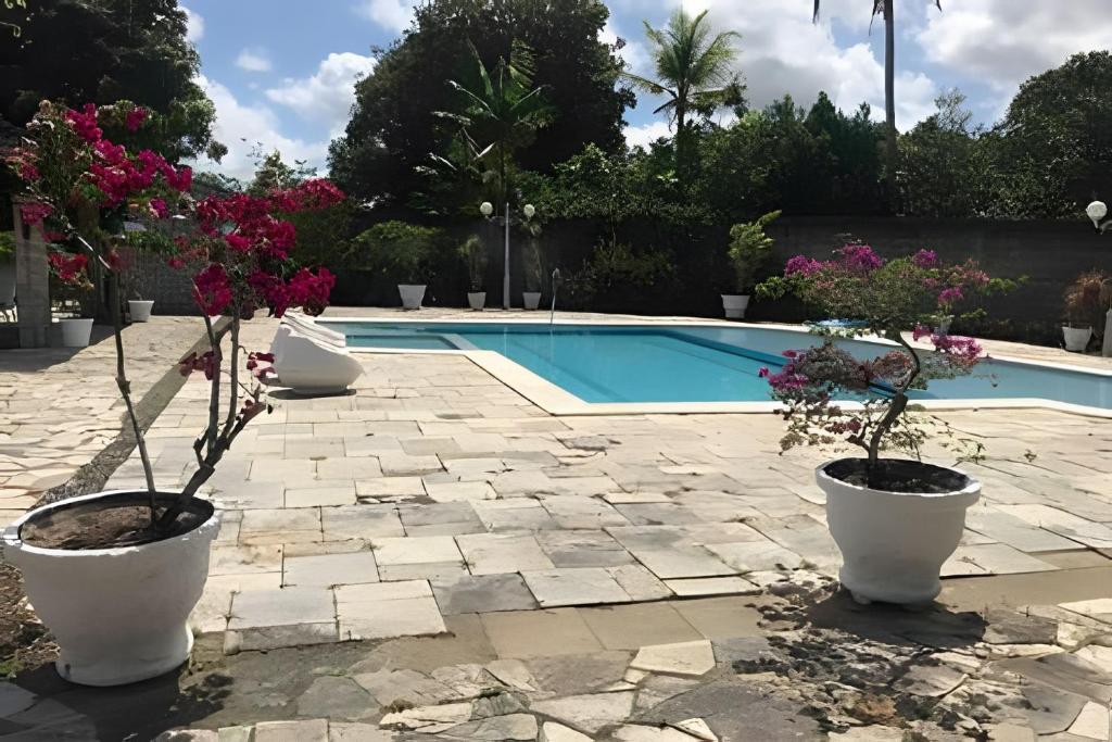 une piscine avec trois plantes en pot et une piscine dans l'établissement Sítio em Aldeia com piscina e vista para o vale, à Camaragibe