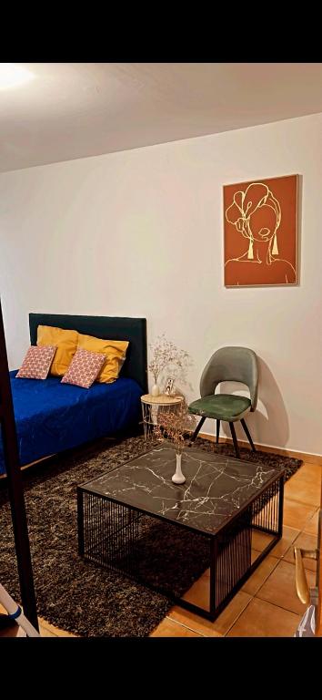 un salon avec un canapé bleu et une chaise dans l'établissement Fleur de sel studio, à Tarascon