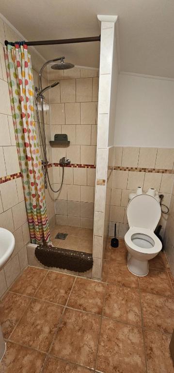 a bathroom with a shower and a toilet at Pension u Havrana in Jetřichovice