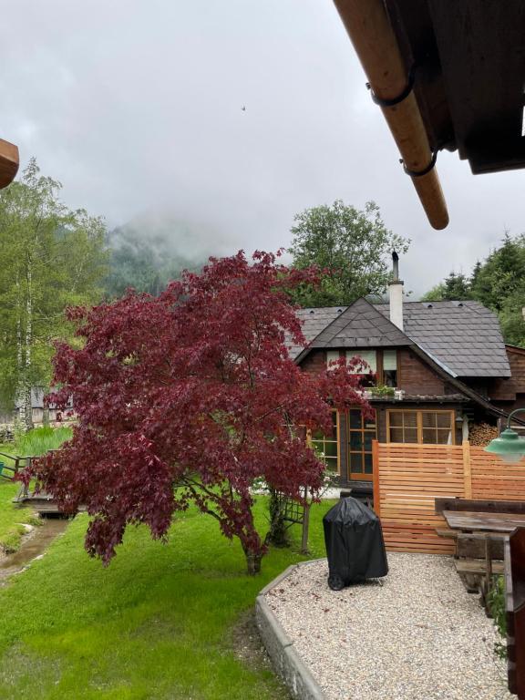 Zahrada ubytování Ferienhaus Werkstattl Rassis Feriendorf Donnersbachwald