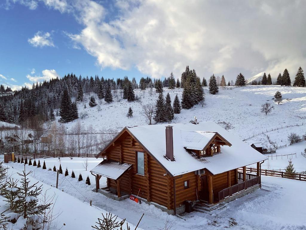 una cabina con neve sul tetto in un campo di neve di DADA Chalet - Vatra Dornei, Bucovina a Vatra Dornei