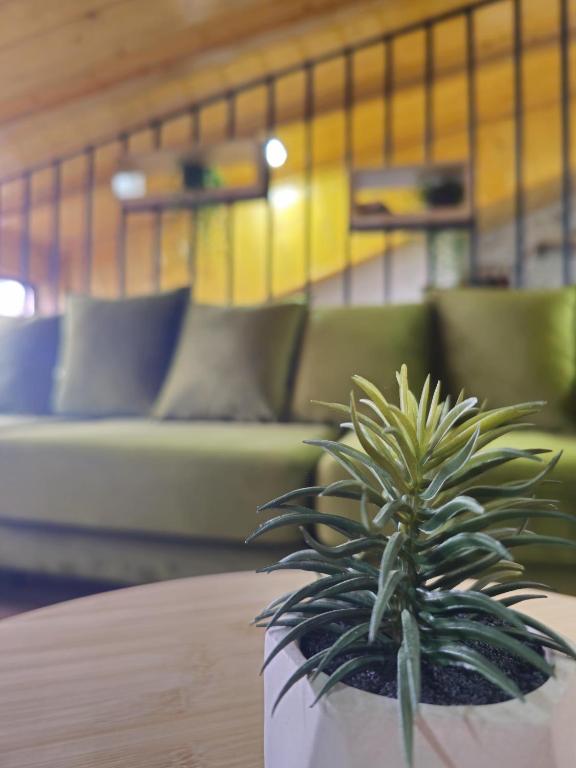 Lulebore Apartament 1 - Image 9