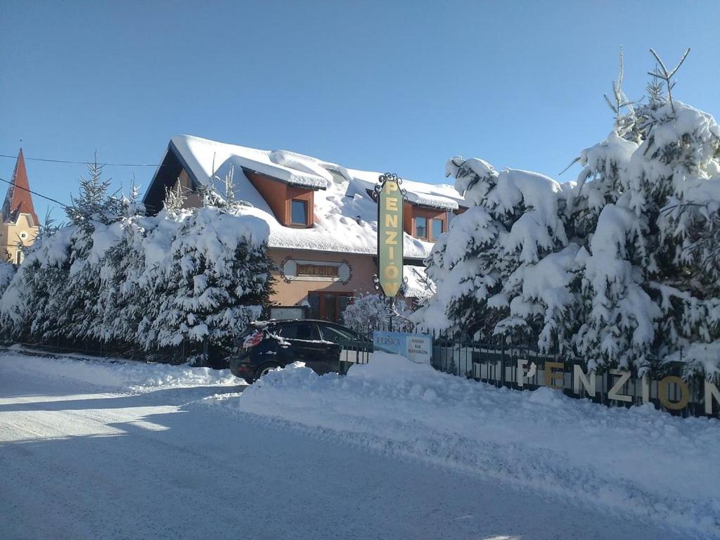 Penzión Eliška during the winter