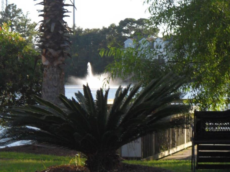 a palm tree in a park with a fountain at Private room and bathroom in Charleston, SC in Charleston