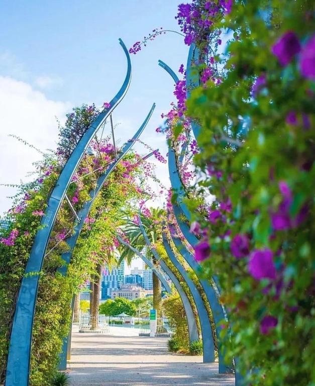 Allegro Apartments - Resim 39