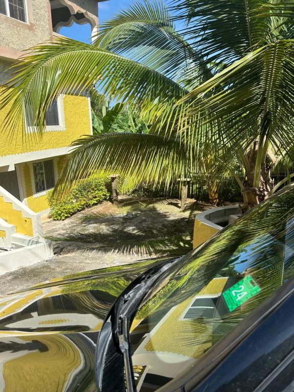 Fotografie z fotogalerie ubytování Becaville v destinaci Port Antonio