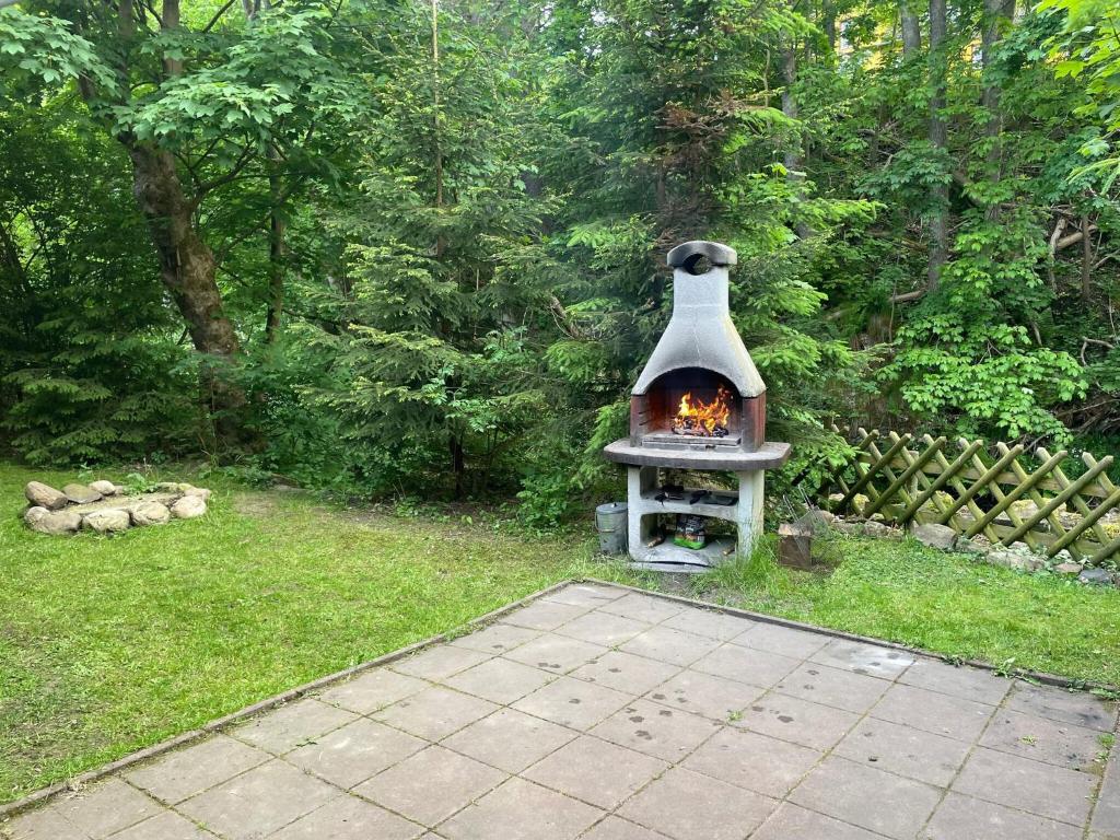Zahrada ubytování Chalet in Braunlage near Ski Slopes