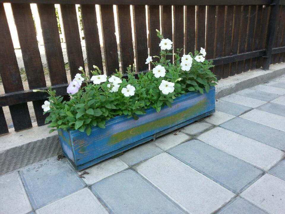 Zahrada ubytování Guesthouse Mestia 32