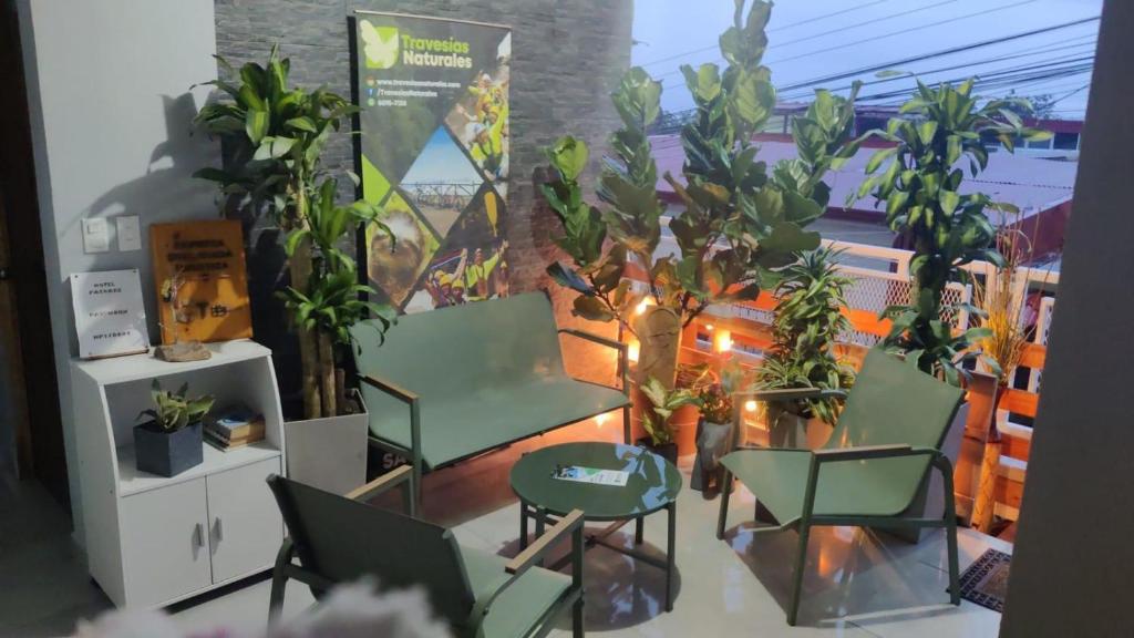 ein Zimmer mit Stühlen, Topfpflanzen und einem Fenster in der Unterkunft Hotel Pacuare Turrialba in Turrialba