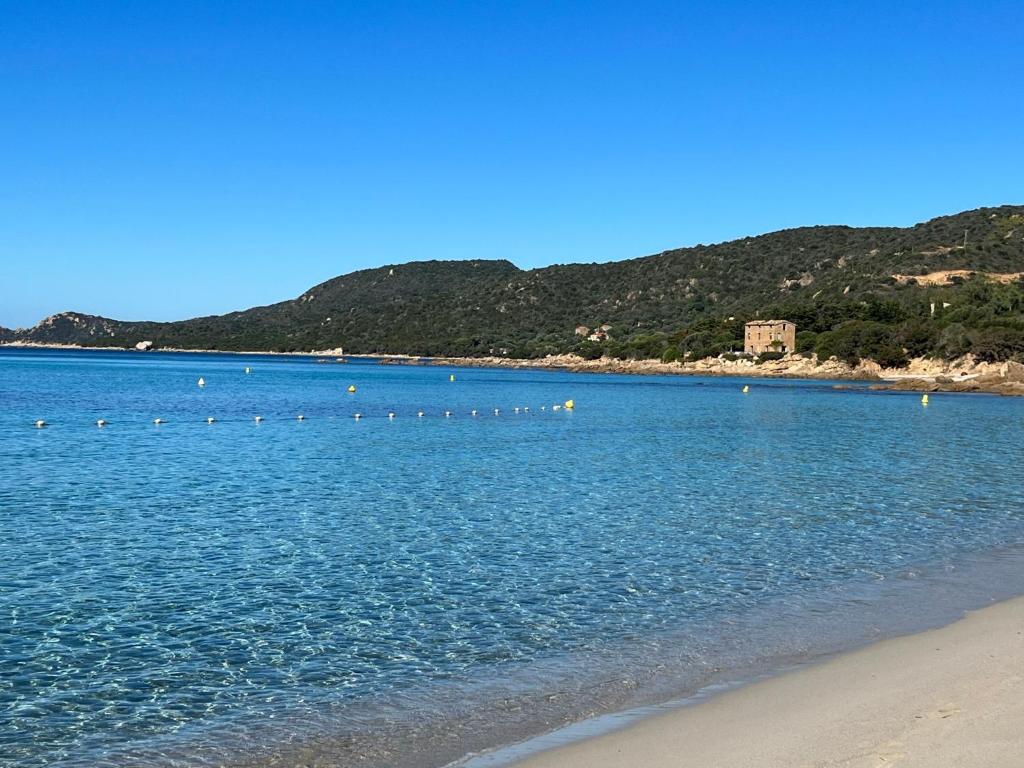 una spiaggia con un gruppo di uccelli in acqua di A casa nostra a Biguglia