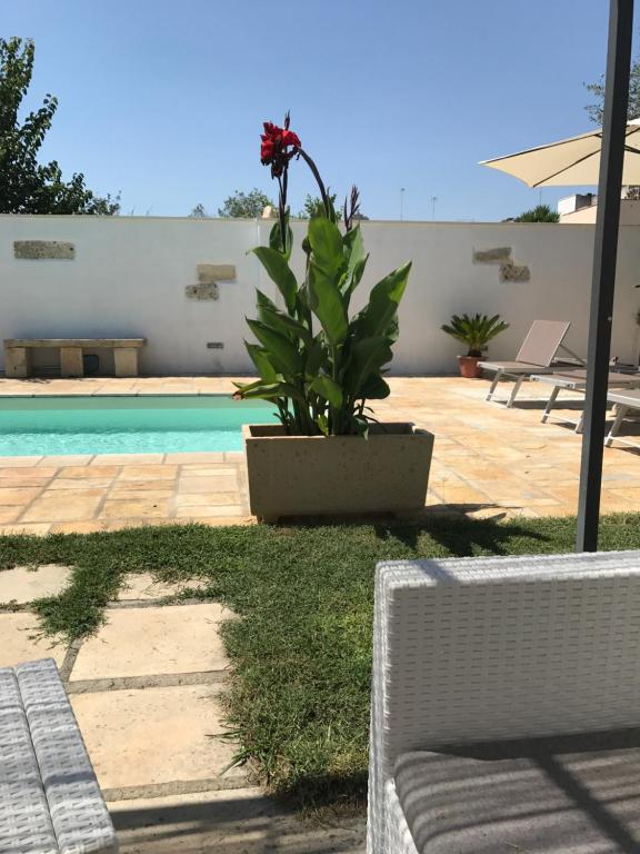 B&B DonnaLina - Suite Junior Con Balcón