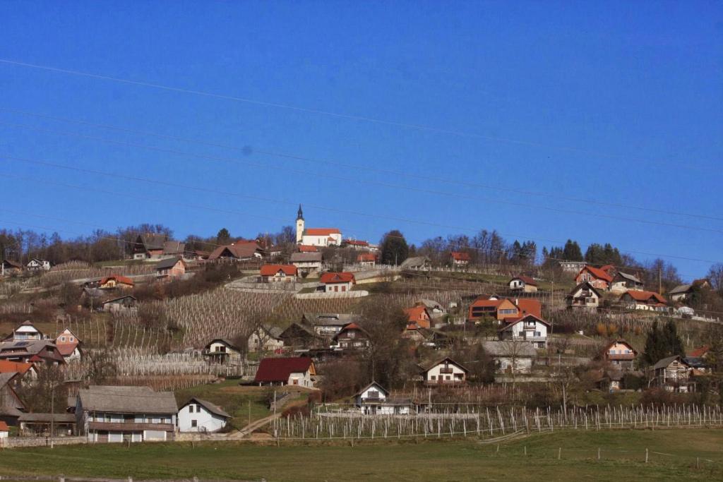 Příroda nedaleko apartmánu