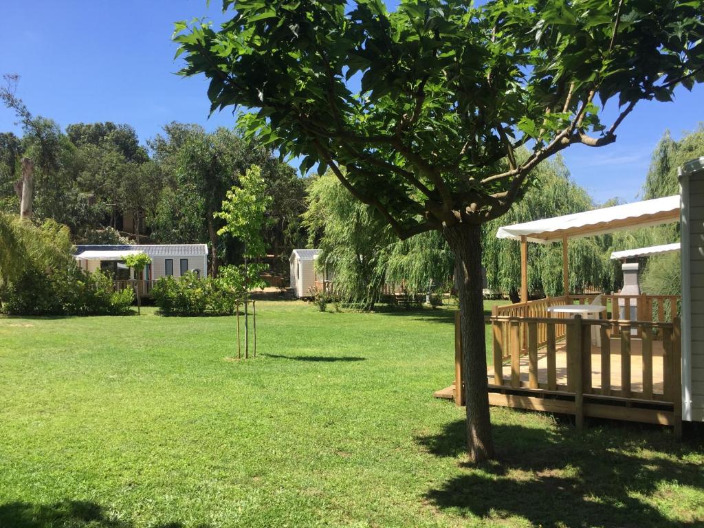 podwórze z drzewem i altaną w obiekcie Camping Milella w mieście Propriano