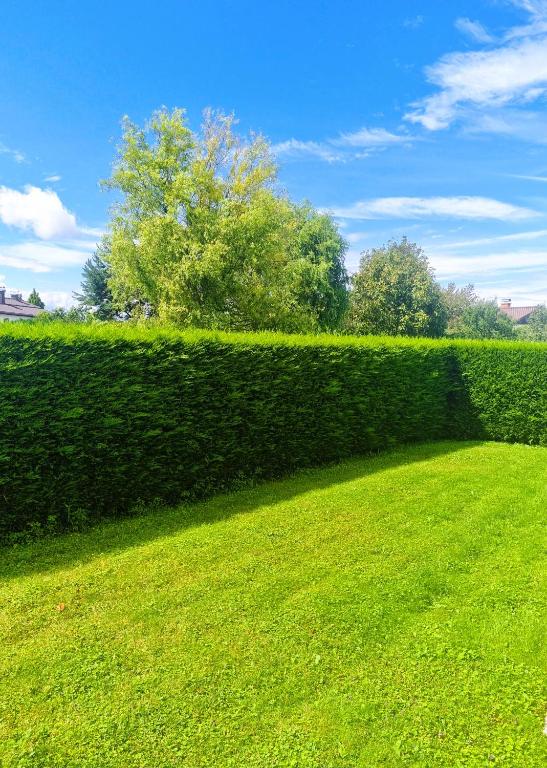 Zahrada ubytování Apartments AD Radenci