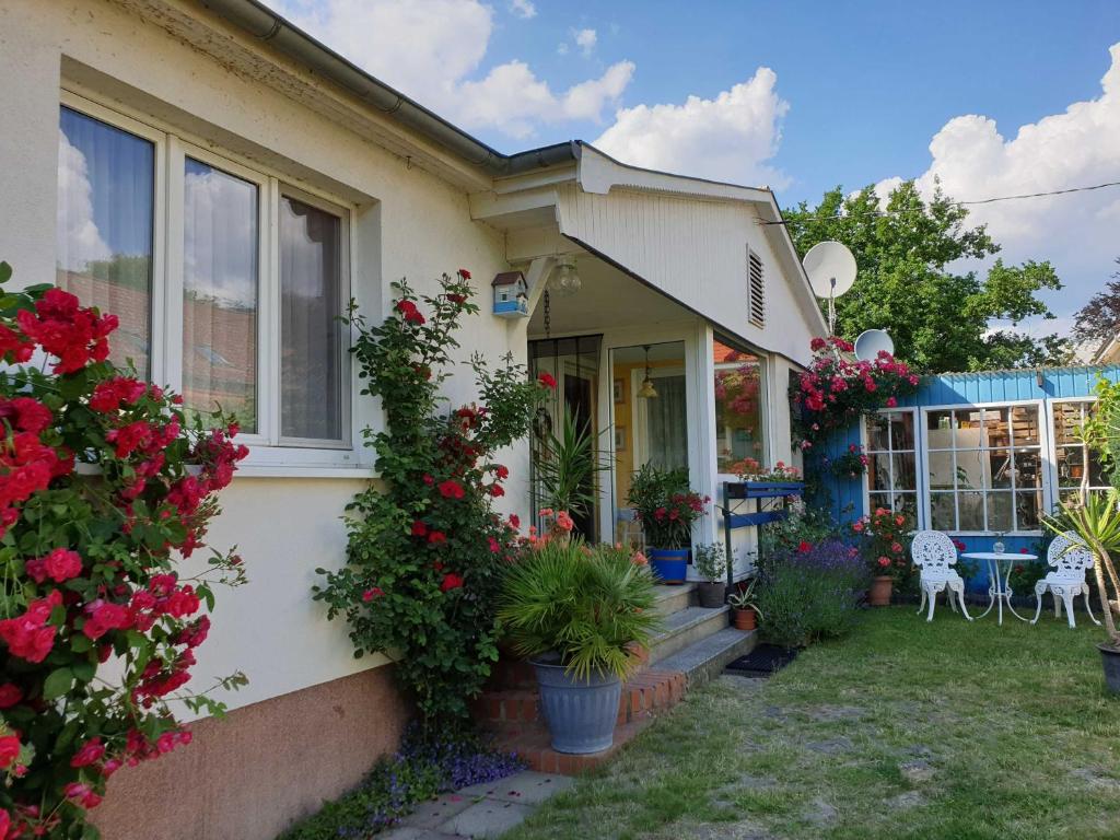 a house with flowers on the side of it at Ferienhaus am See in Krakow am See