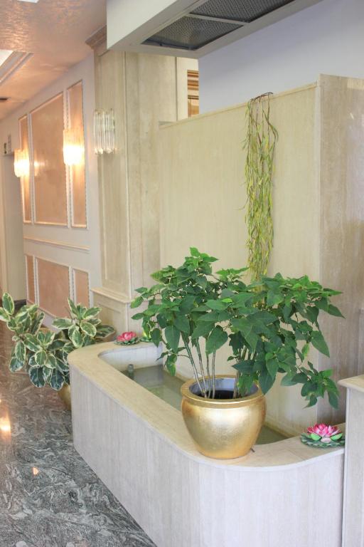 Fotografie z fotogalerie ubytování Hotel Romulus v Římě