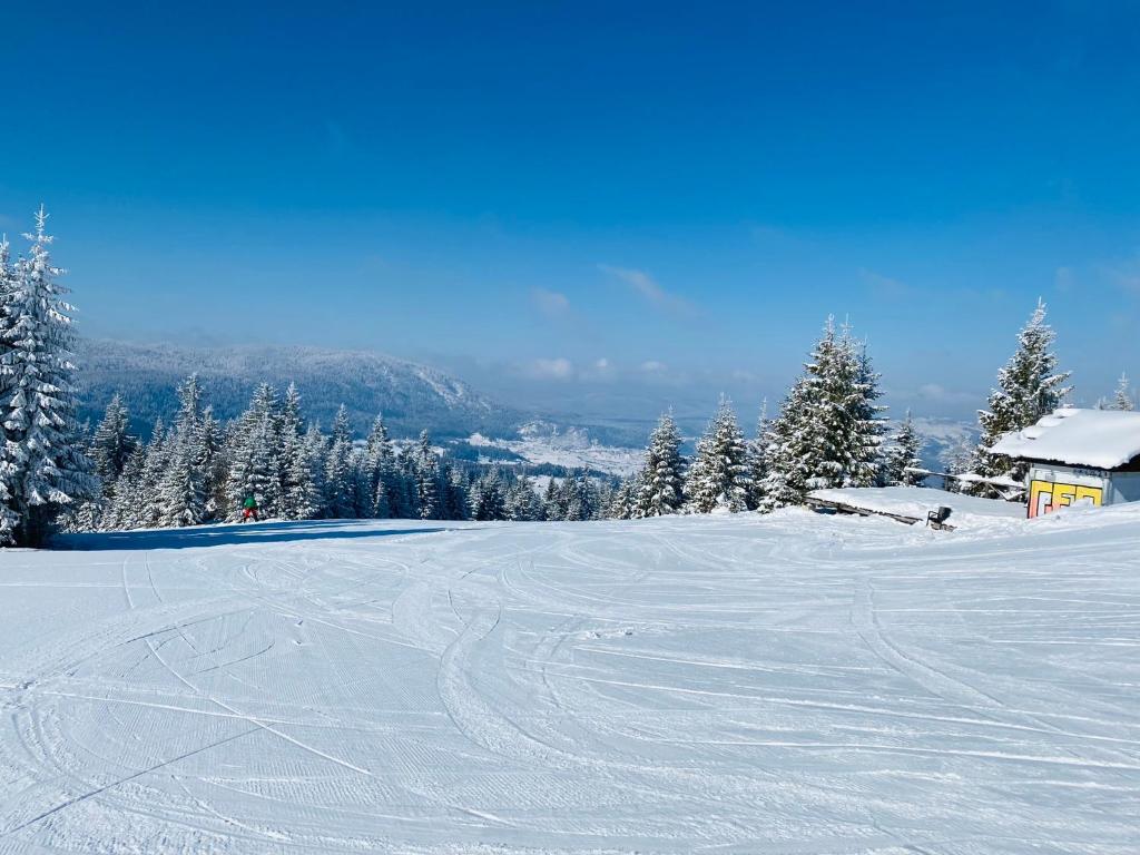 Apartman SkiBeg, Vlašić v zimě