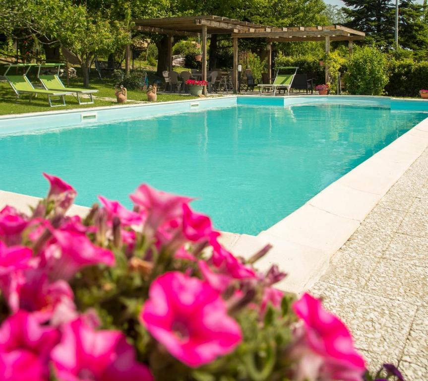 a swimming pool with pink flowers in front of it at AGRITURISMO B&B BIO LA TANA DEL LELE in Serra San Quirico