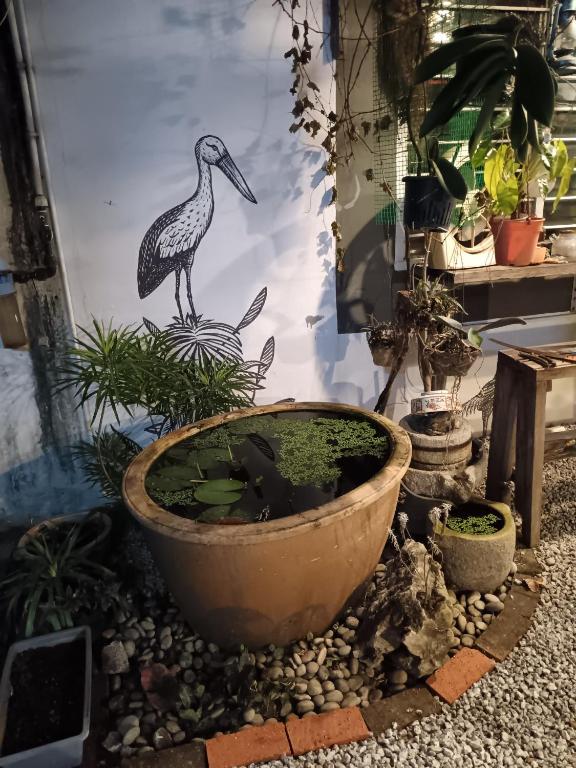 Lung Tok Entreprise 茶馆民宿にある庭