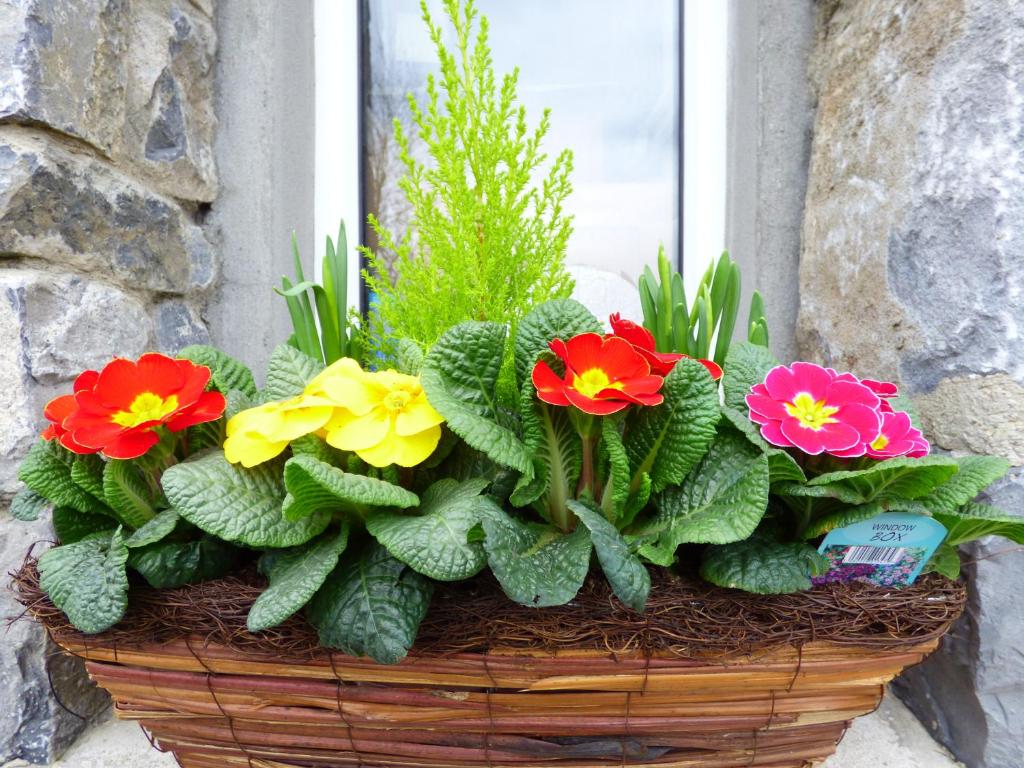 Zahrada ubytování Parkhouse B&B