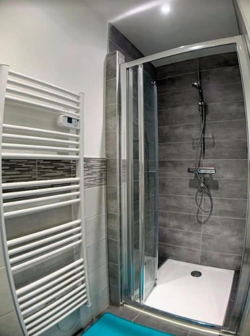 SouthBay Appartement Hyper Centre Mulhouse – photo 3